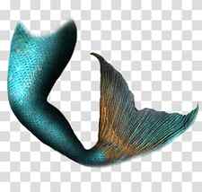 Mermaid Tail Siren, Mermaid transparent background PNG clipart thumbnail
