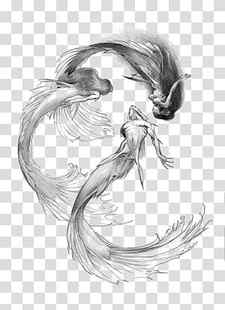 three mermaids sketch, Mermaid Drawing Siren Sketch, Mermaid transparent background PNG clipart thumbnail