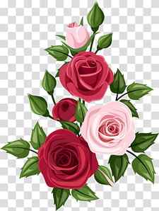 Rose Art Drawing , rose transparent background PNG clipart thumbnail