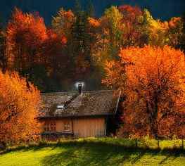 cottage in the woods, autumn, nature, cottage, forest, beauty HD wallpaper