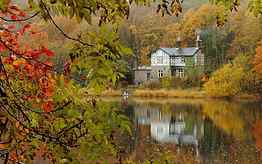 Cottage, In, The, Woods, , , Cool, cottage life HD wallpaper