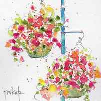 Hanging Flower Baskets by Pat Katz
