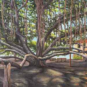 Wall Art - Painting - Banyan Tree Lahaina Maui by Darice Machel McGuire