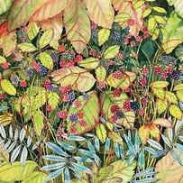Wild Berries by Kathleen Parr Mckenna