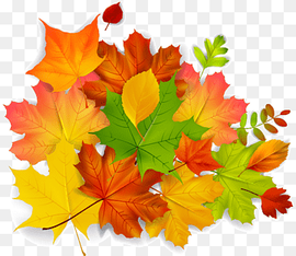 Maple leaf Autumn, Maple autumn leaves, watercolor Leaves, maple, leaf png thumbnail