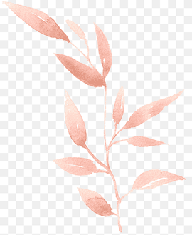 Watercolor painting Leaf, Hand-painted watercolor leaves, pink leaf illustration, watercolor Leaves, painted, branch png thumbnail