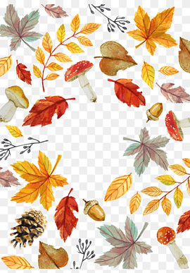 leaves illustration, Autumn Leaf Euclidean, Watercolor Fall Elemental Card, watercolor Painting, watercolor Leaves, leaf png thumbnail