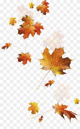 Autumn leaf color, autumn leaves, leaf, maple Leaf, orange png thumbnail
