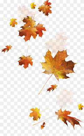 Autumn Leaves Autumn leaf color, Falling leaves, dried maple leaves, watercolor Leaves, leaf, maple Leaf png thumbnail