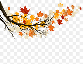 Autumn leaf color Maple leaf, Autumn leaves, watercolor Leaves, leaf, orange png thumbnail