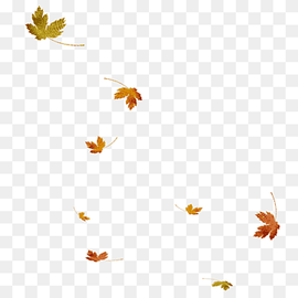 orange maple leaf, Autumn Leaf, Scattered maple leaves, watercolor Leaves, maple, leaf png thumbnail