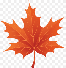 Maple leaf, Autumn Fall Leaves, maple, leaf, maple Leaf png thumbnail