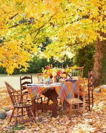 outdoor party in the fall autumn alfresco