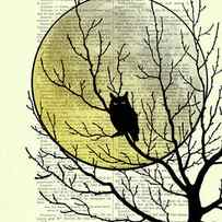 Spooky owl at full moon by Madame Memento