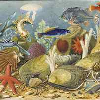 An Imaginary Underwater Scene by Gustav Friedrich Schlick