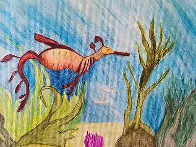 Wall Art - Drawing - Weedy Sea Dragon by Julie Moss
