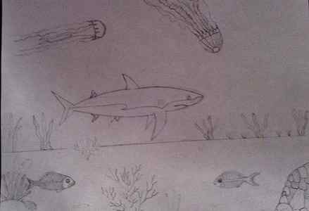 Wall Art - Drawing - A Underwater Scene by Miles The Artist