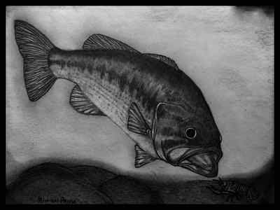Wall Art - Drawing - Largemouth Bass W/ Border by Michael Panno