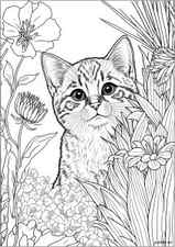 Cute cat behind flowers 1