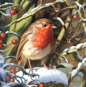 Wall Art - Painting - Winters Friend by David Price