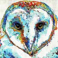 Colorful Barn Owl Art - Sharon Cummings by Sharon Cummings