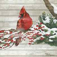 Winter Red Bird On Wood I by Tiffany Hakimipour