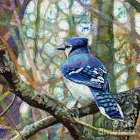 Morning Forest - Blue Jay by Hailey E Herrera