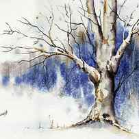 Untitled Winter Tree by Sam Sidders