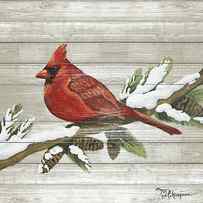 Winter Red Bird On Wood Ii by Tiffany Hakimipour