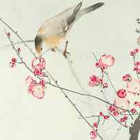 Songbird on blossom branch by Ohara Koson
