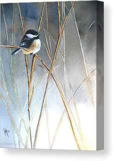 Bird On Branch Canvas Prints
