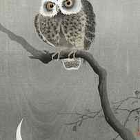 Long-eared owl on bare tree branch by Ohara Koson