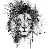 Splattered Lion Black and White by Marian Voicu