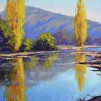 Tumut River Poplars by Graham Gercken