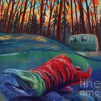 Fall Salmon fishing by Sassan Filsoof