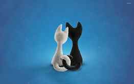 White and black cat - Digital Art HD wallpaper