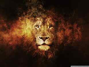 lion digital wallpaper, animals, texture, digital art, big cats HD wallpaper