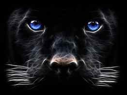 Black Panther Big Cat Digital Art, black panther fighting HD wallpaper