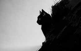 cat, Black Cats, Animals, Green Eyes, Artwork, Digital Art, Black, Gray / and Mobile Background HD wallpaper