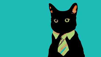 black cat with necktie illustration, internet, simple background HD wallpaper