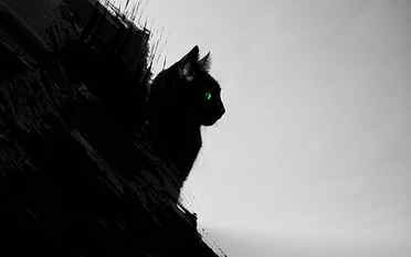 cat silhouette, black cats, animals, green eyes, artwork, digital art HD wallpaper