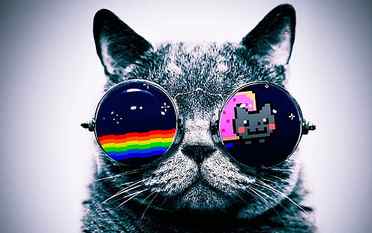 gray cat wearing sunglasses wallpaper, Nyan Cat, digital art HD wallpaper