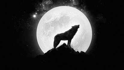 Wolf howling at the full moon, silhouette of wolf, digital art HD wallpaper