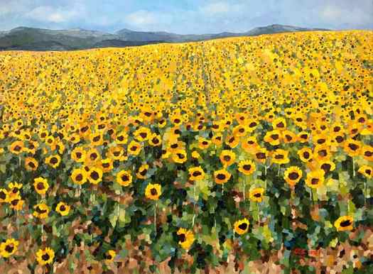 Beautiful sunflower field painting
