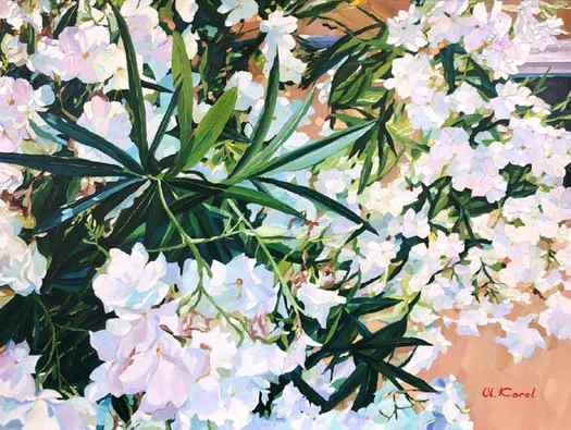 White oleanders flower oil painting on canvas