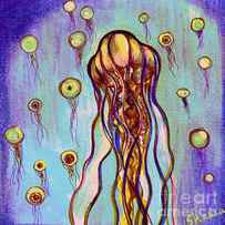 Jelly Vision by Shadia Derbyshire
