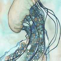Jellyfish II by Tamara Phillips