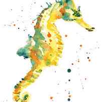 Seahorse - yellow seahorse by Alison Fennell