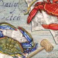 Daily Catch Crabs by Paul Brent