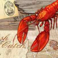 Fresh Catch Lobster by Paul Brent